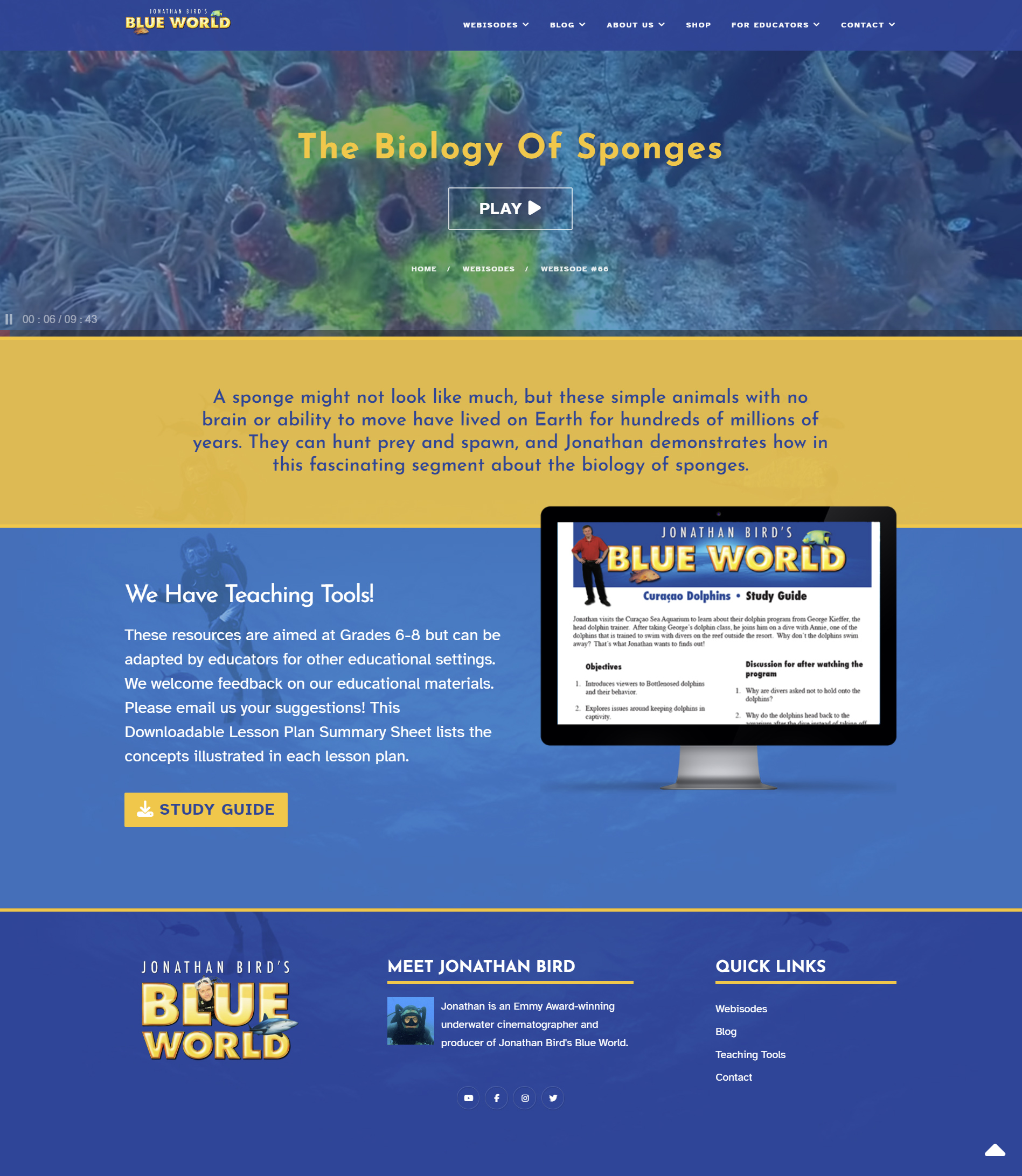 https://blueworldtv.com/ &copy; by eBree Web Design