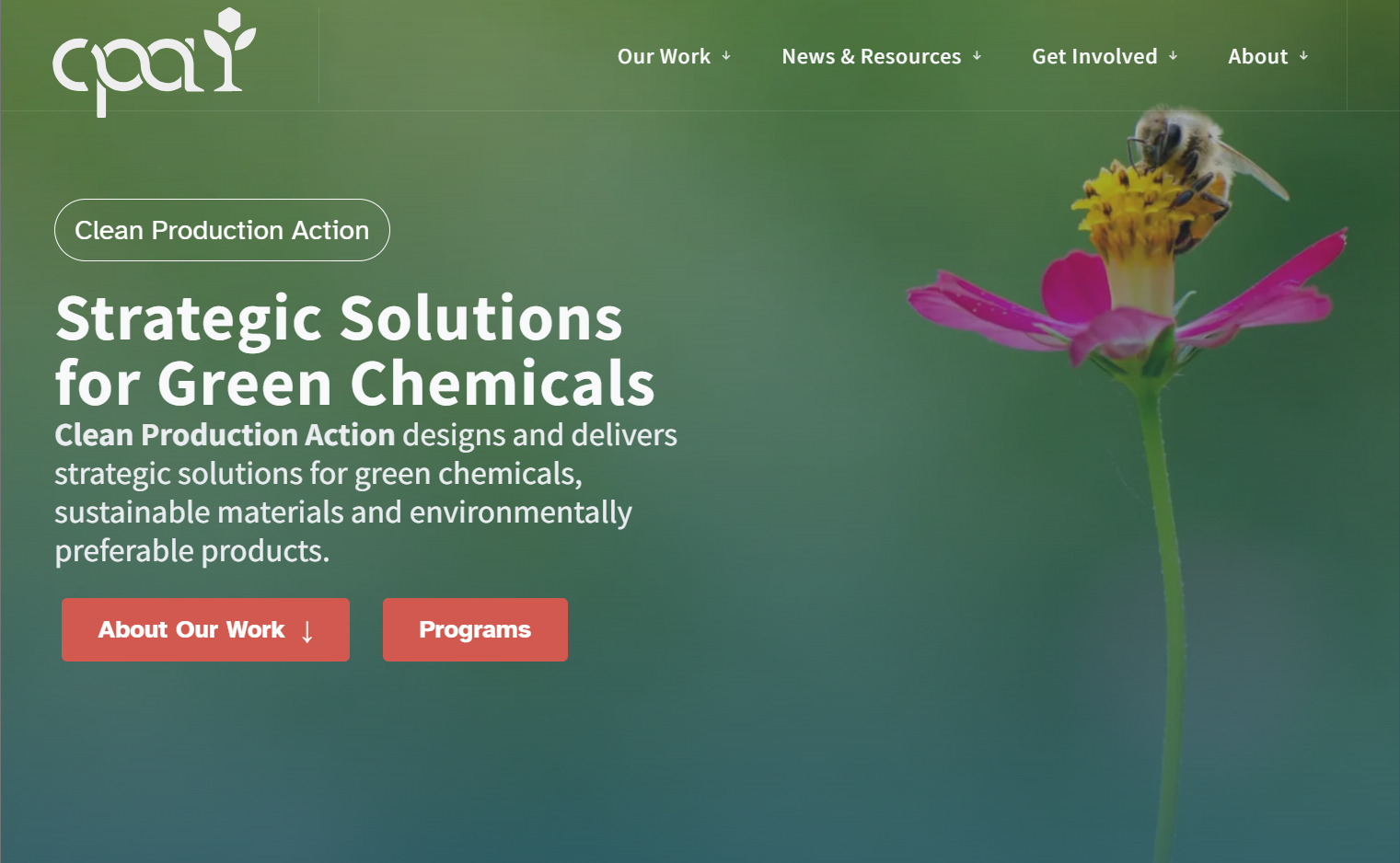  https://www.cleanproduction.org screenshot