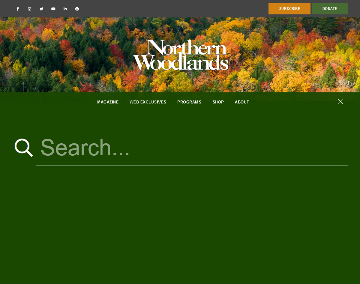 search tool overlay - https://northernwoodlands.org &copy; by eBree Web Design